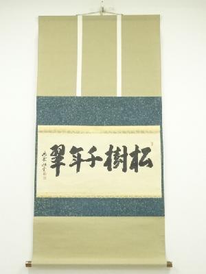 大徳寺　森洞雲筆　「松樹千年翠」横物　肉筆紙本掛軸（共箱）